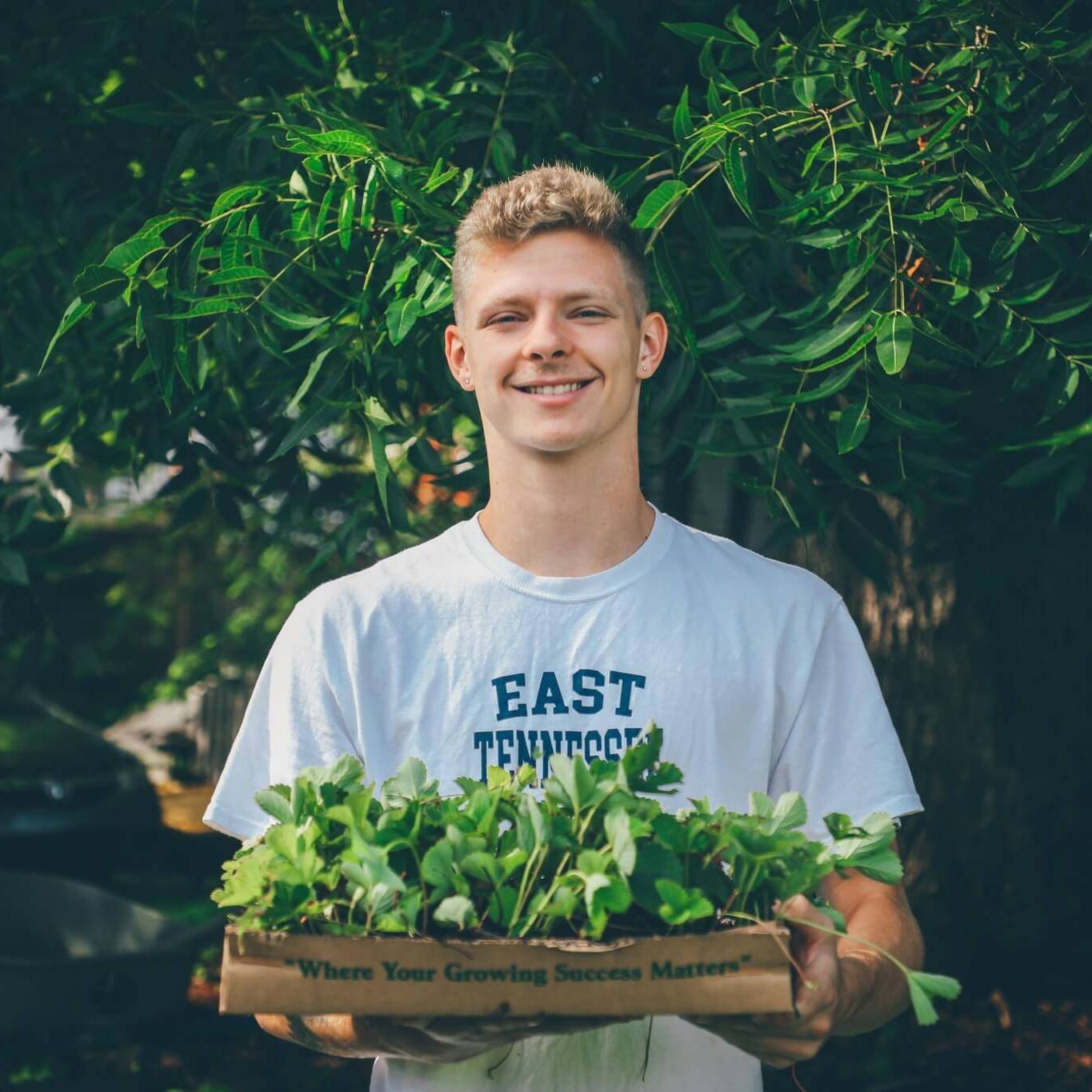 Male student in white shirt that reads "ETSU" holds a box of plants while volunteering outdoors.
