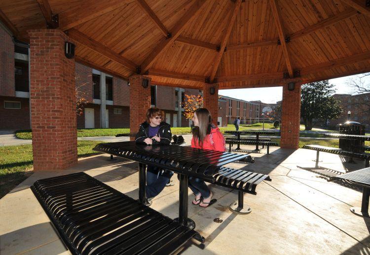 Davis Efficiency Apartments