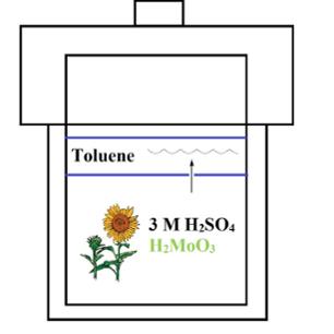 scott research photo