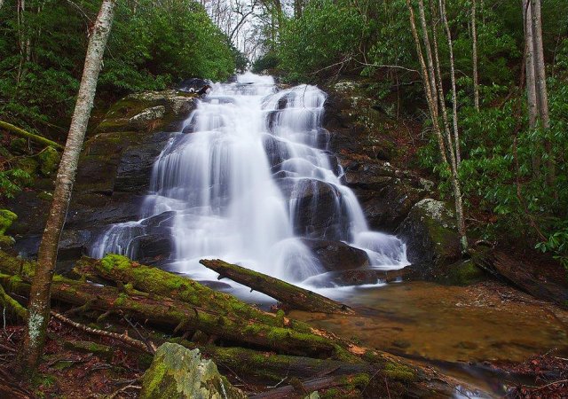 image for Rocky Fork