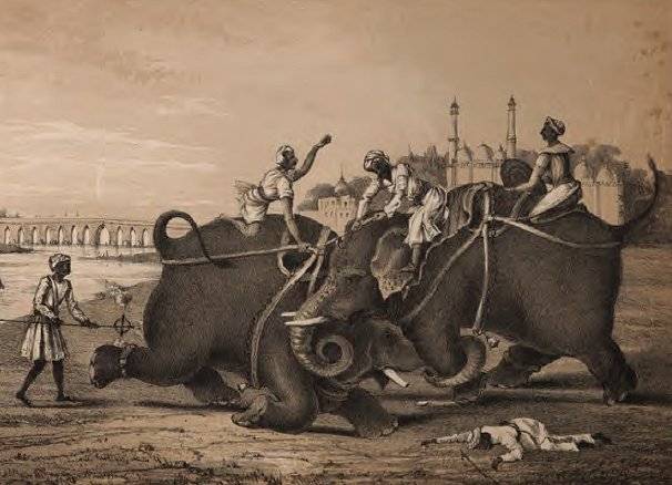 Elephant Fight, from Pelham Richardson Publishers, c. 1850.  Public Domain Image.