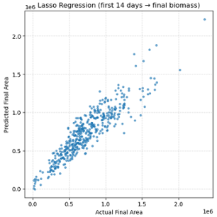 Oak Ridge Collaboration Fall 2025: Predicting final biomass using first growth