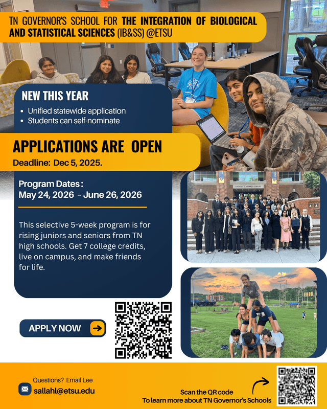 Governor's School Program