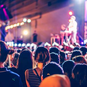 People in a crowd at an outdoor night concert.