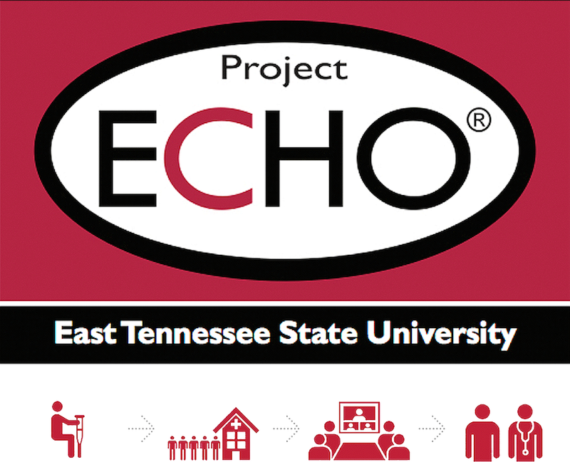 ETSU Project ECHO Banner