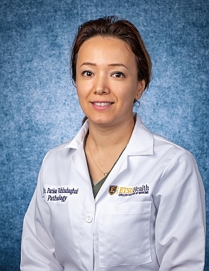 Photo of Dr. Parisa Toosi