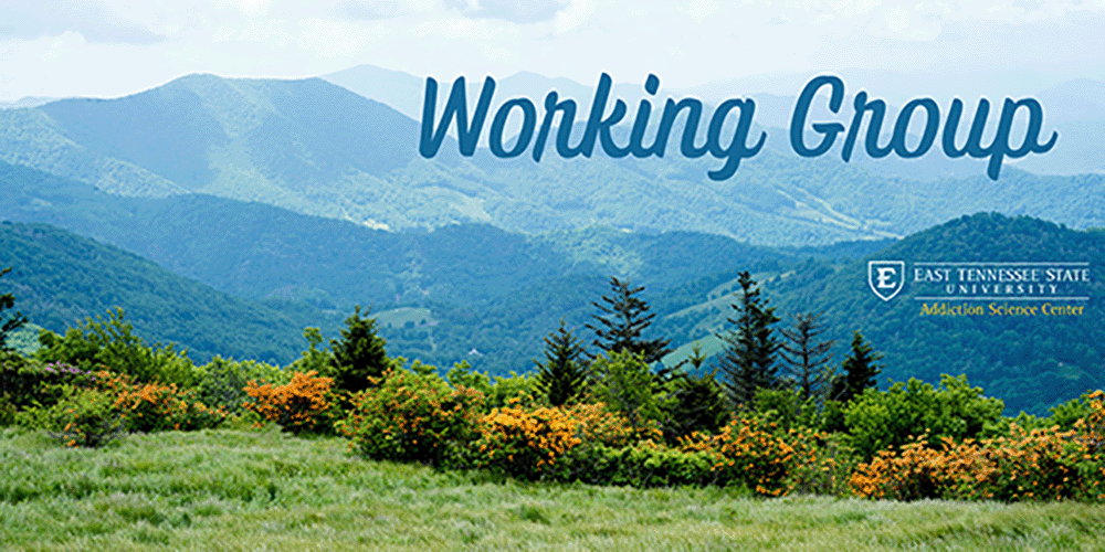 Working Group 