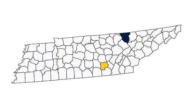 Grundy and Scott Counties