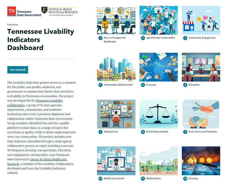 Livability Dashboard Snapshot