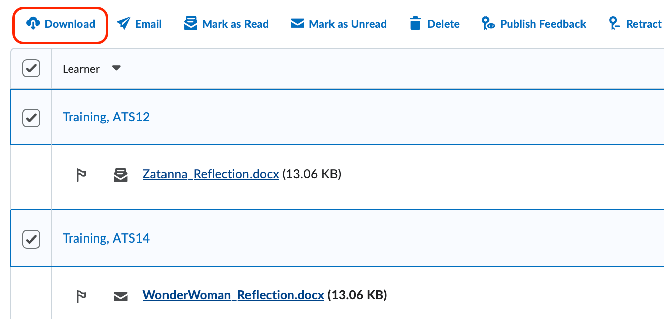 The download in bulk option (all students in submission table checked)