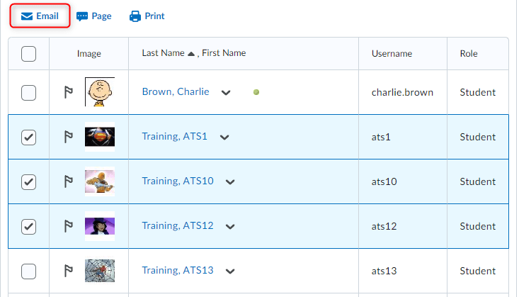 image of the classlist page with multiple students selected to email
