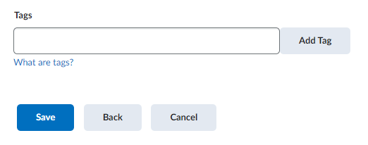 image of the tags textbox in the add an artifact section of eportfolio