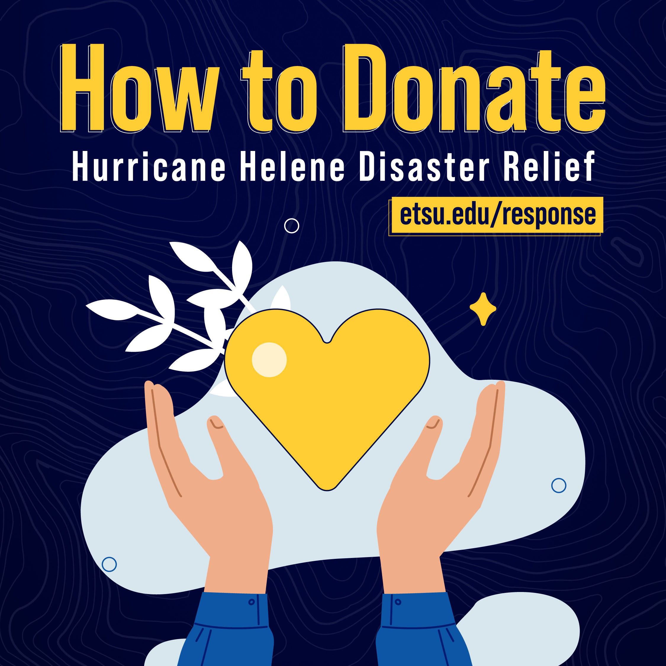 Illustration of hands holding a yellow heart with title "How to Donate to Hurricane Helene Disaster Relief"