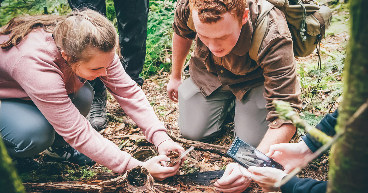 Students sitting on the ground in the woods, studying nature.