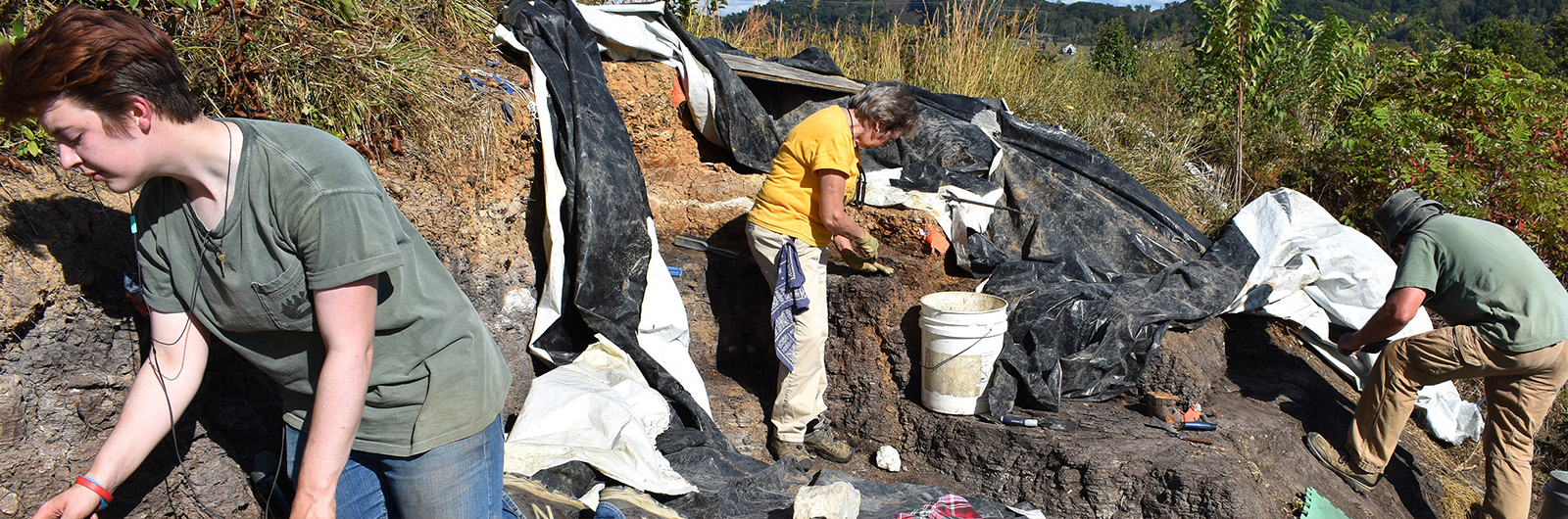 excavation at the gray fossil site