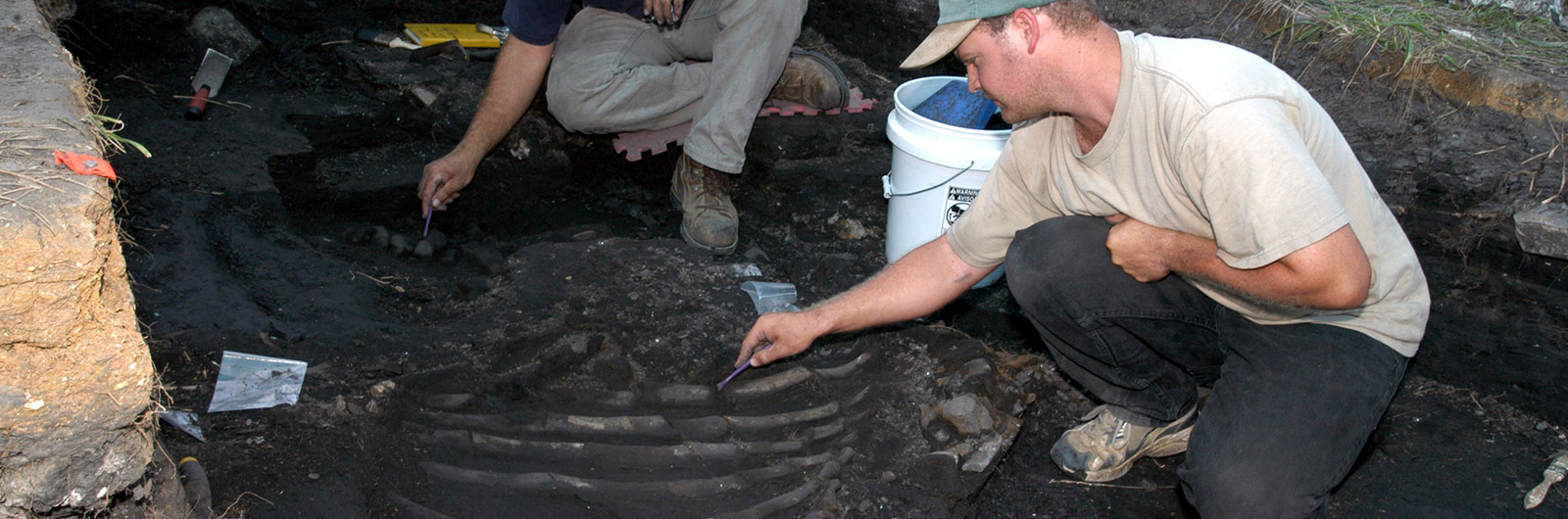 Excavation of fossil rhino