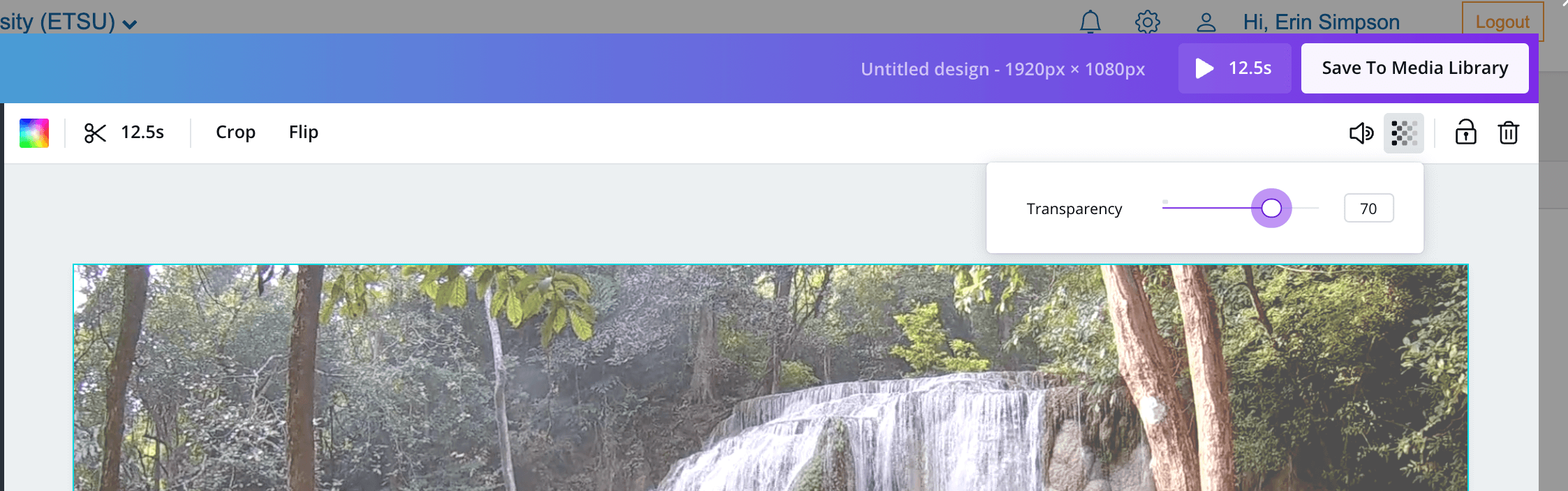 Screenshot of Canva background transparency tool