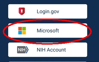 Microsoft login oprion