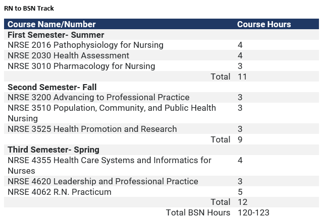 RN to BSN Curriculum