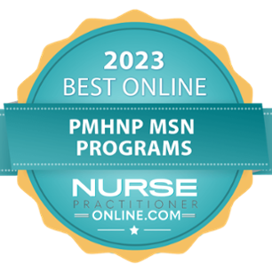 ETSU's MSN degree program was ranked as a top online program by Nurse Practitioner Online dot com.