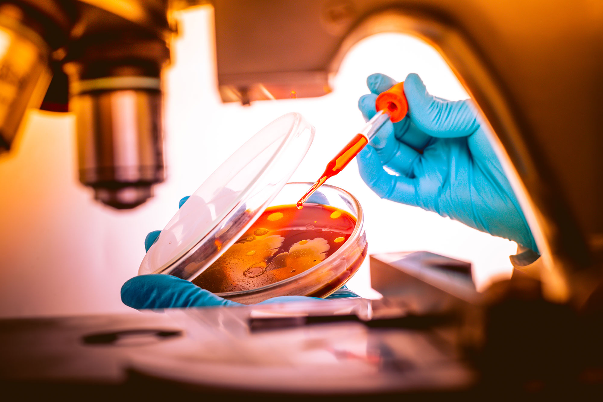 Petri dish and a medicine dropper up close. 