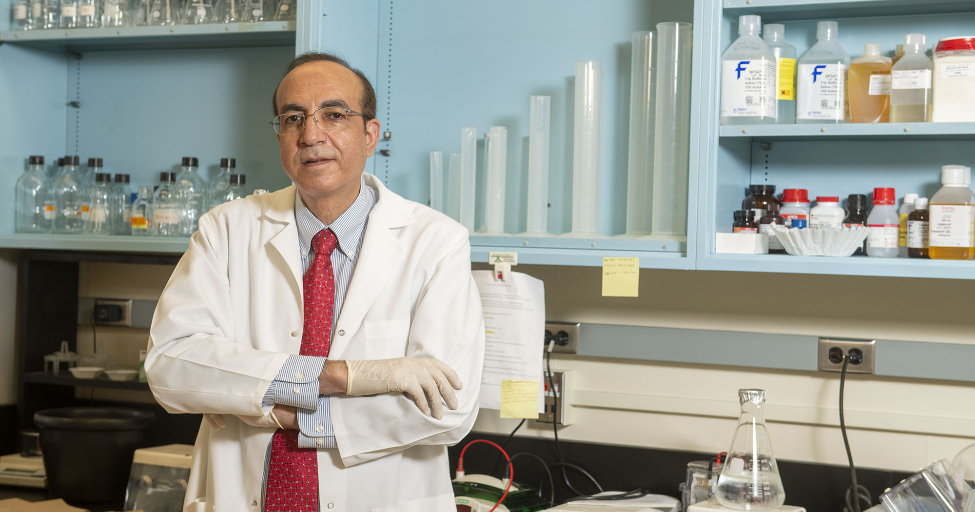 Dr. Mohamed Elgazzar