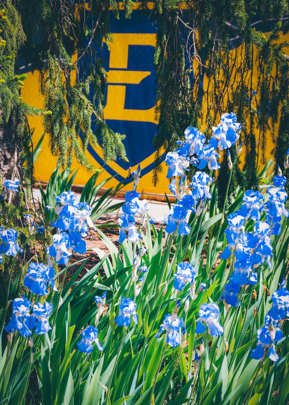 image for ETSU secures $900K defense grant