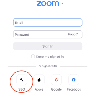 Zoom SSO login