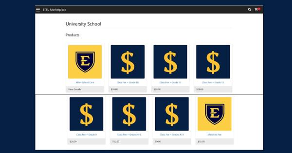 image for University School Payment System